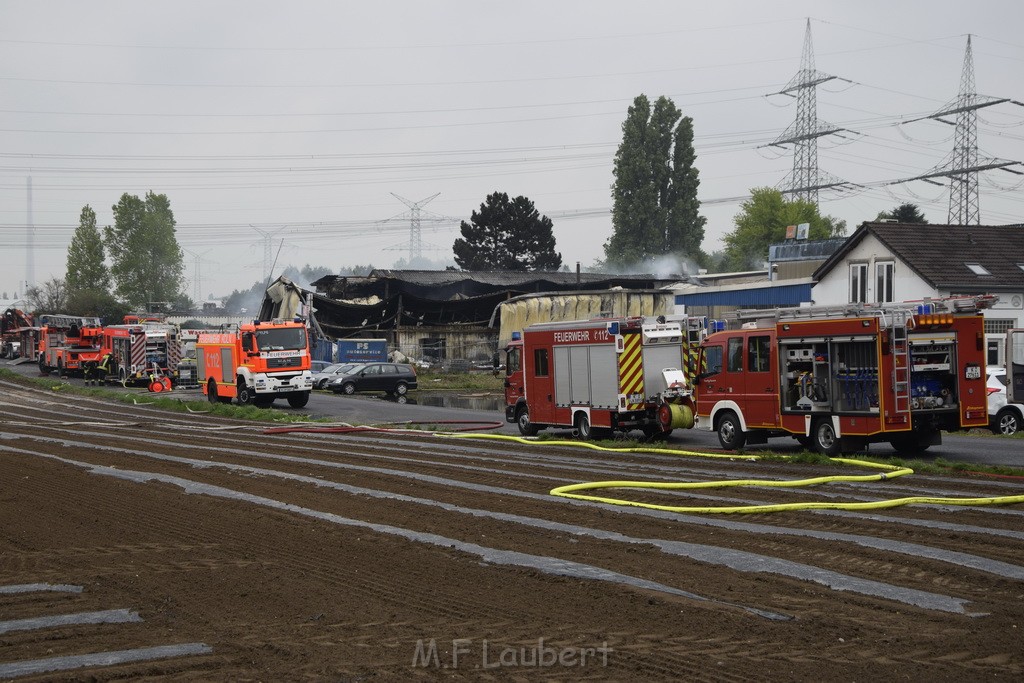 Feuer 3 Rheinkassel Feldkasseler Weg P2495.JPG - Miklos Laubert